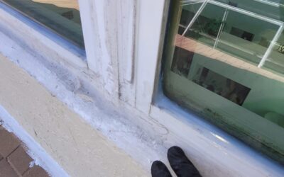 Case Study: Leaking Roof or Humid Attic?