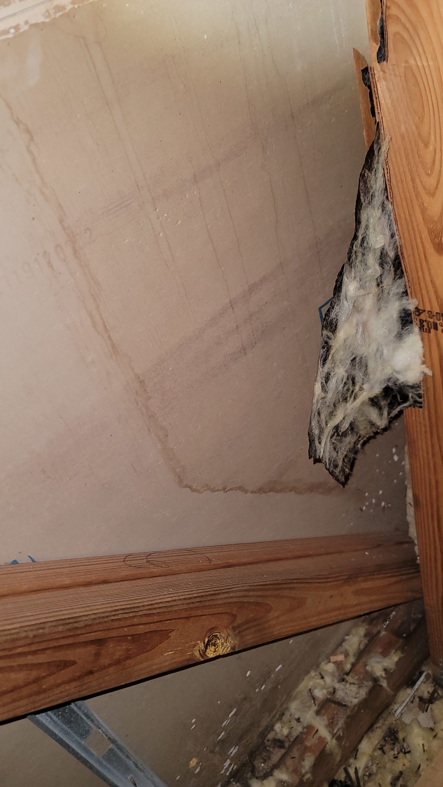 Case Study: Leaking Roof or Humid Attic? - Axiom Structures