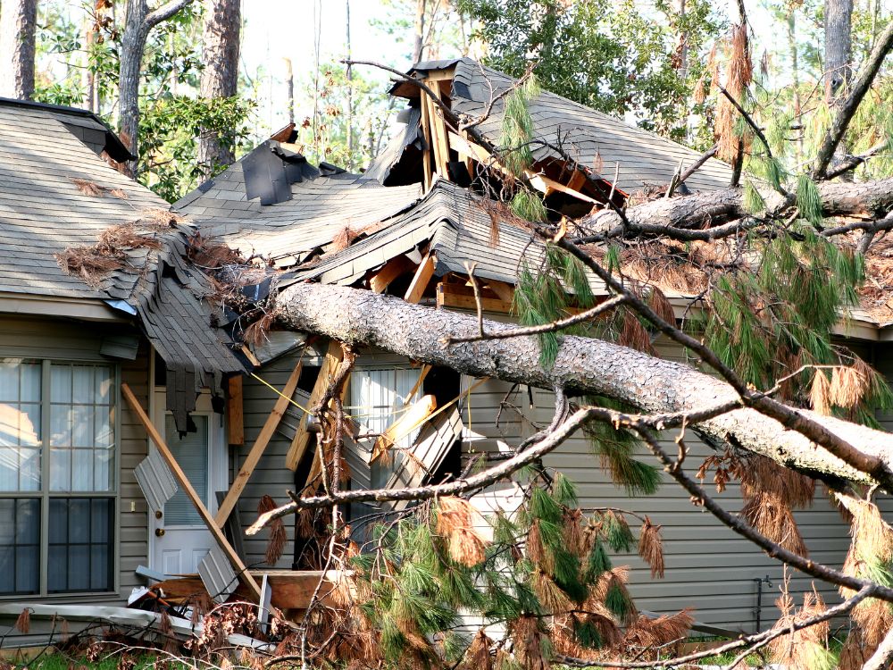 Hurricane Damage Hurricane Damage
