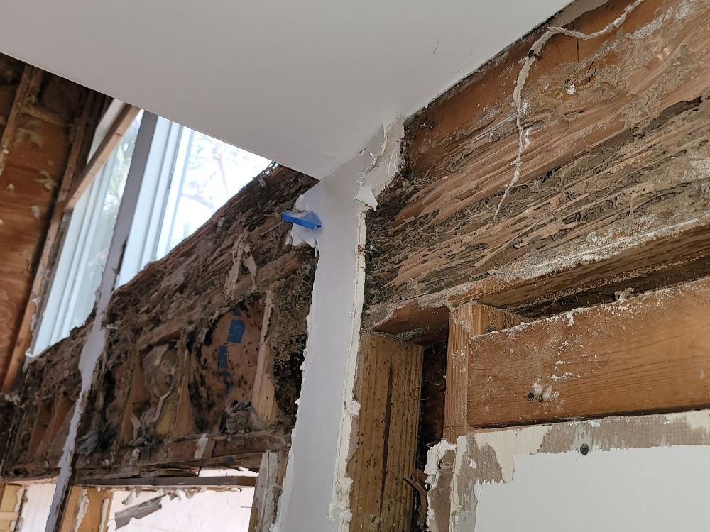 Structural Damage tall windows for natural light in living room